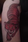 Thumbnail that leads to photos of Tiger body art